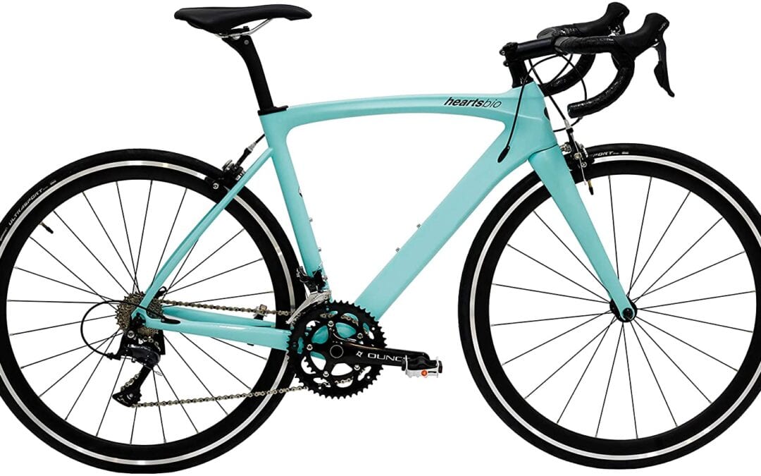 HeartsBio Carbon Road Bike Model H